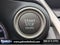 2019 Lexus NX 300 F Sport